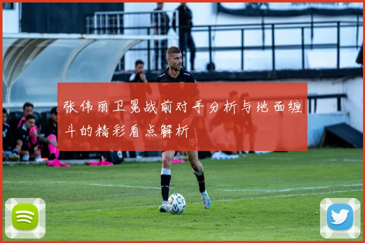 张伟丽卫冕战前对手分析与地面缠斗的精彩看点解析